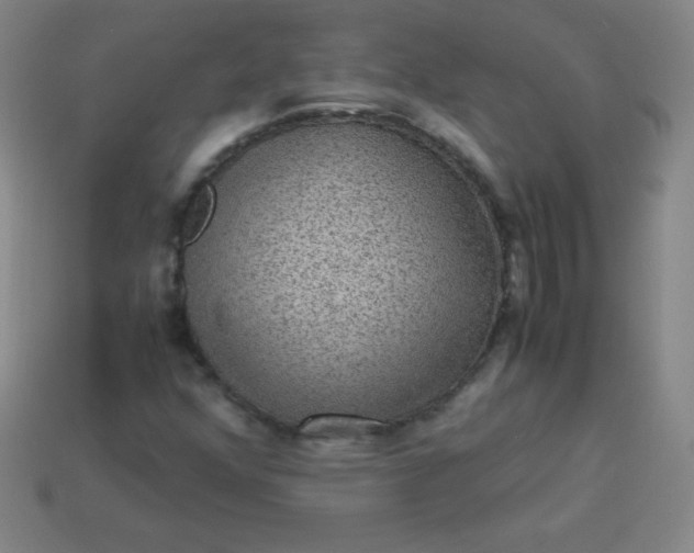 X0000113951352200910091559