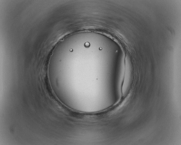 X0000113951353200910091559