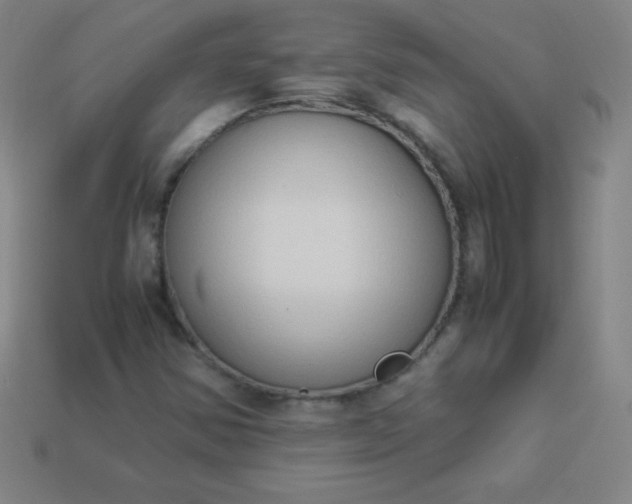 X0000113951354200910091559