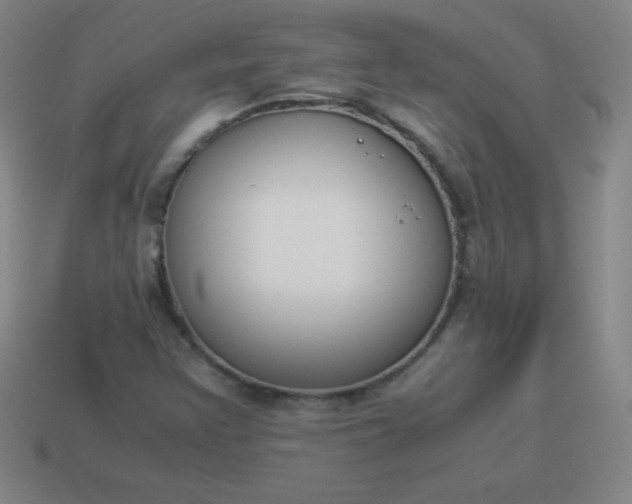 X0000113951355200910091559