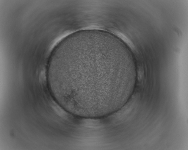 X0000113951356200910091559