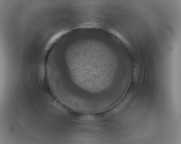 X0000113951358200910091559