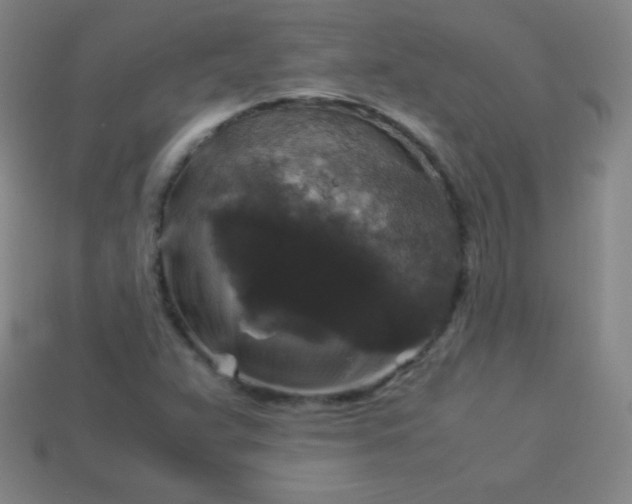 X0000113951359200910091559