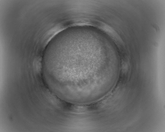 X0000113951361200910091559