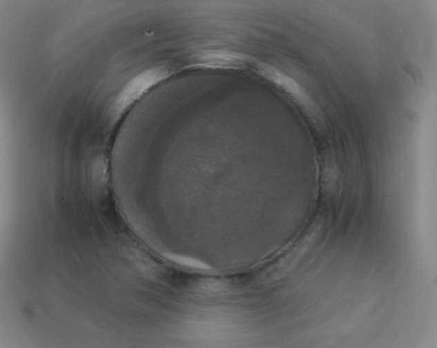 X0000113951362200910091559