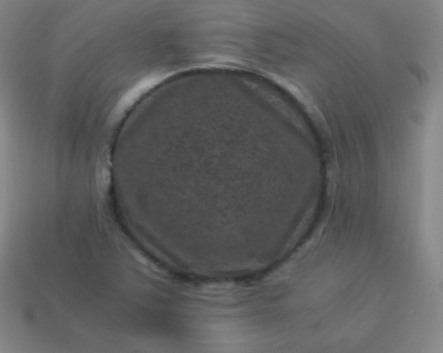 X0000113951363200910091559