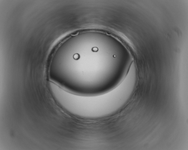 X0000113951364200910091559