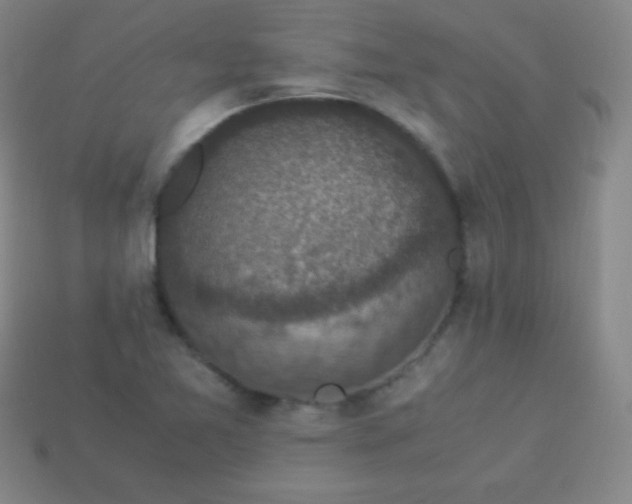 X0000113951365200910091559