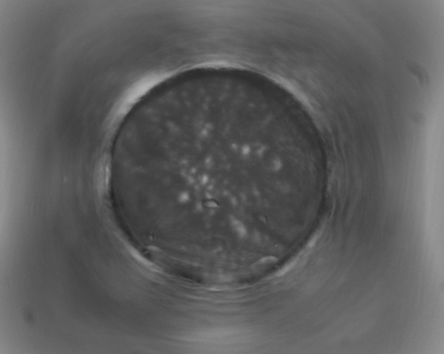 X0000113951367200910091559