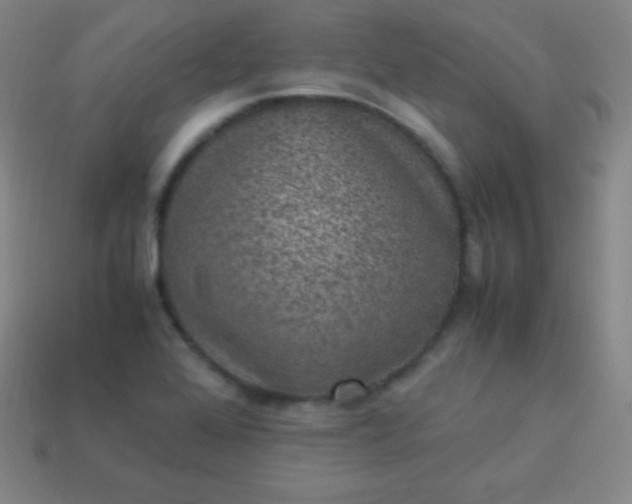 X0000113951368200910091559