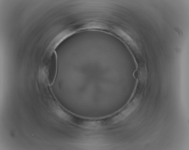 X0000113951369200910091559