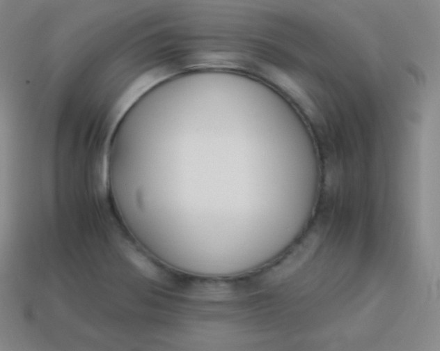 X0000113951370200910091559