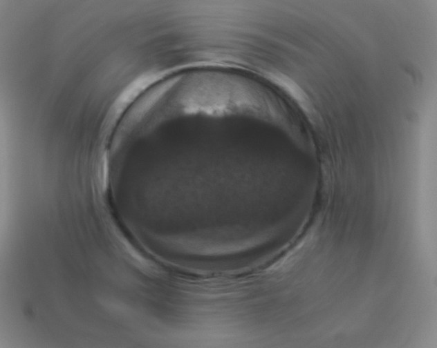 X0000113951371200910091559