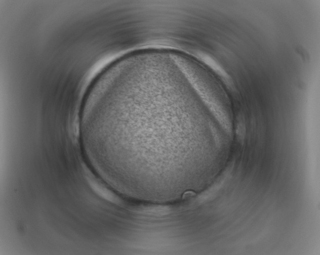 X0000113951372200910091559