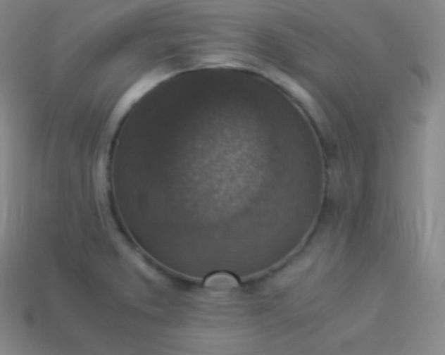 X0000113951373200910091559