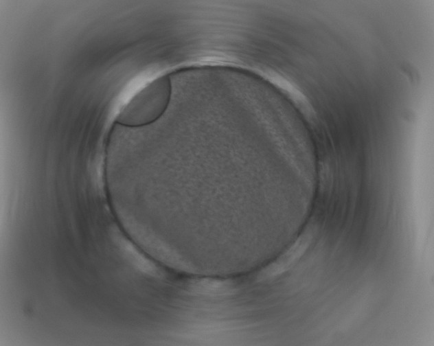 X0000113951374200910091559