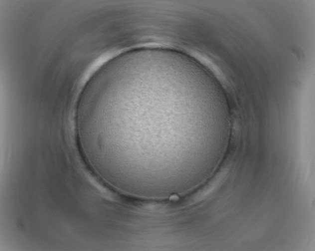 X0000113951375200910091559