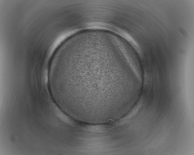X0000113951376200910091559