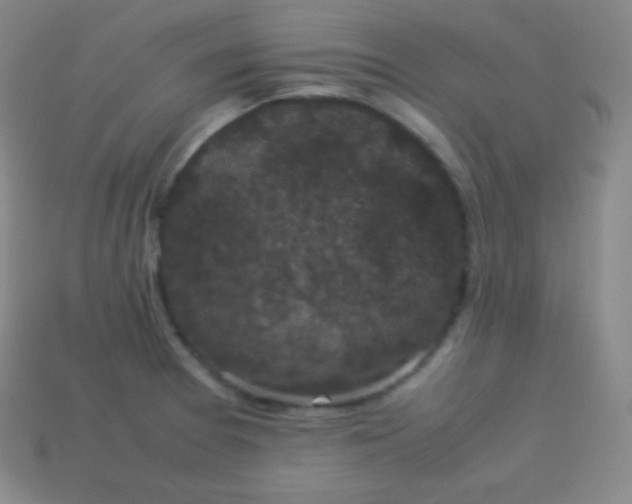 X0000113951377200910091559