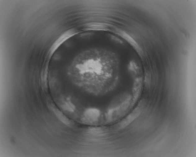 X0000113951378200910091559