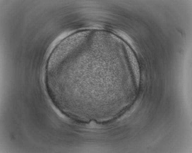 X0000113951379200910091559