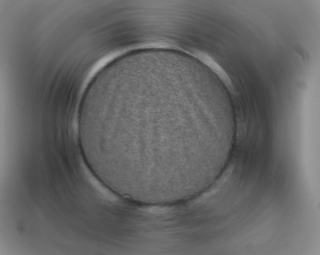 X0000113951380200910091559
