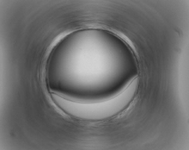 X0000113951381200910091559