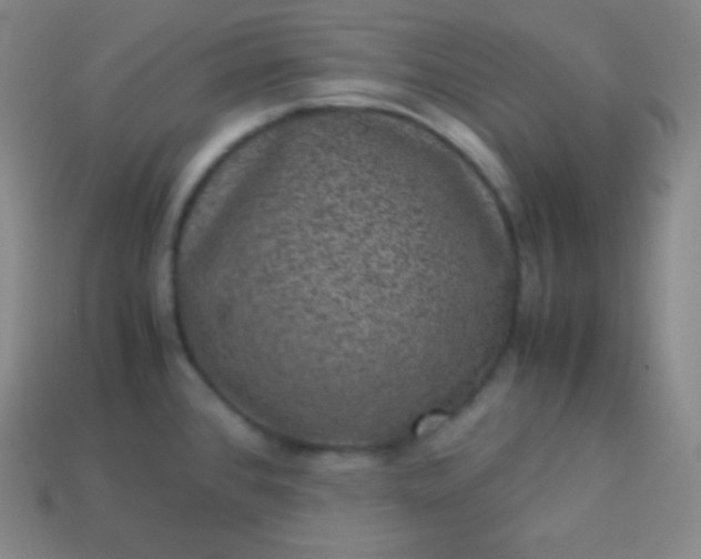 X0000113951384200910091559