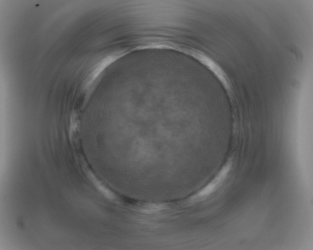 X0000113951385200910091559