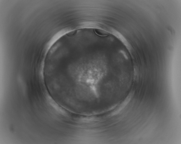 X0000113951386200910091559
