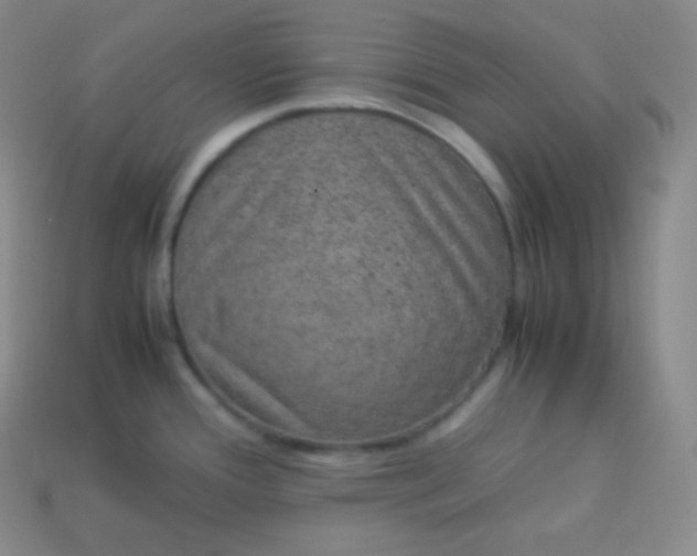 X0000113951388200910091559