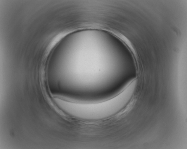 X0000113951389200910091559