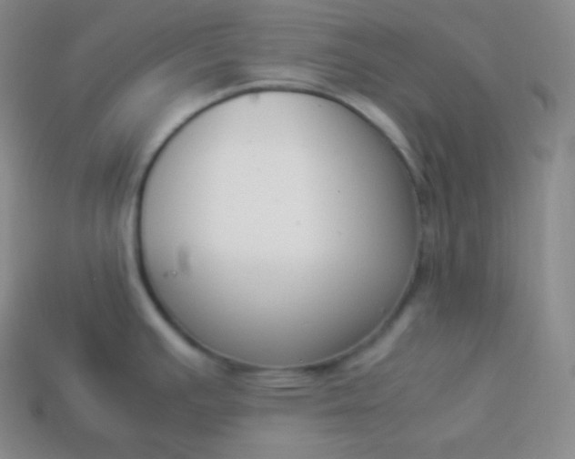 X0000113951391200910091559