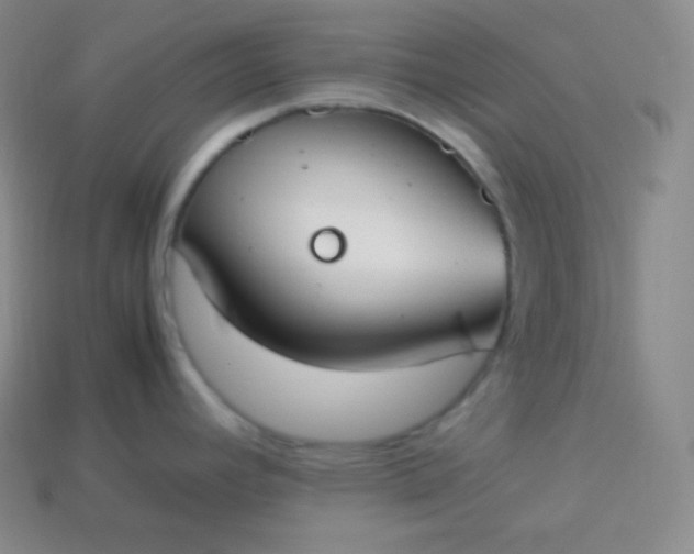 X0000113951392200910091559