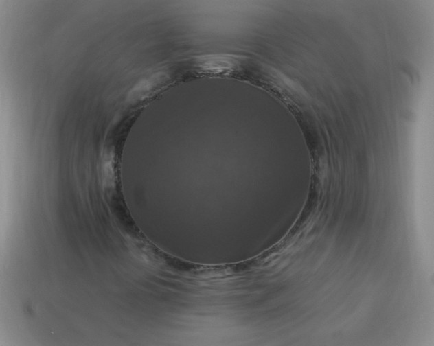 X0000113951394200910091558