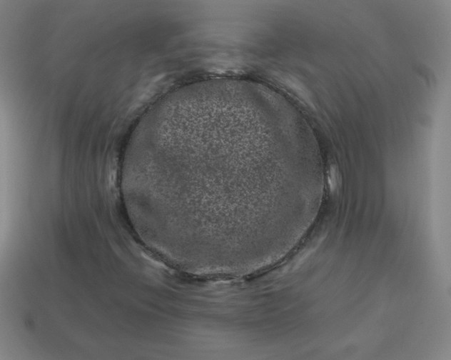 X0000113951396200910091558