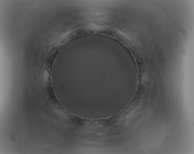 X0000113951397200910091558