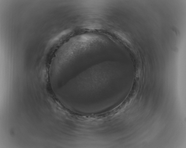 X0000113951398200910091558