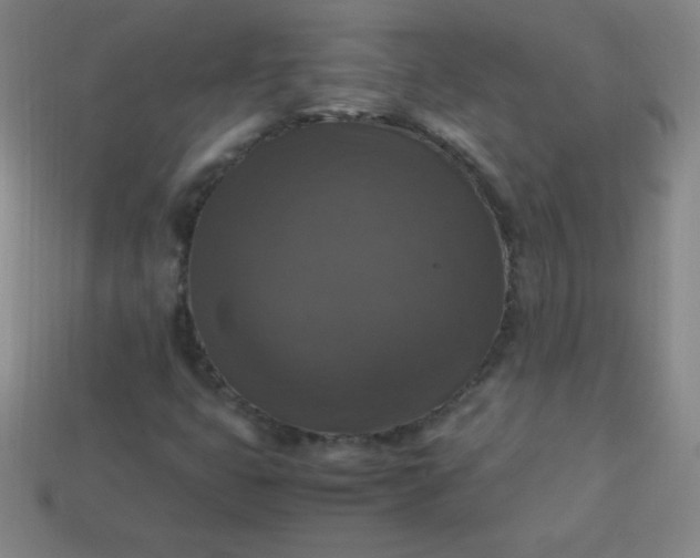X0000113951399200910091558