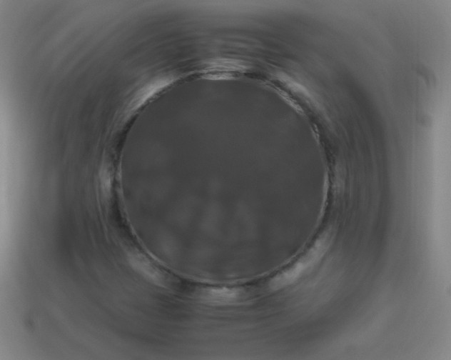 X0000113951401200910091558