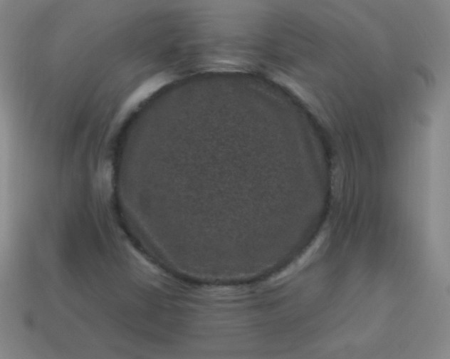 X0000113951402200910091558