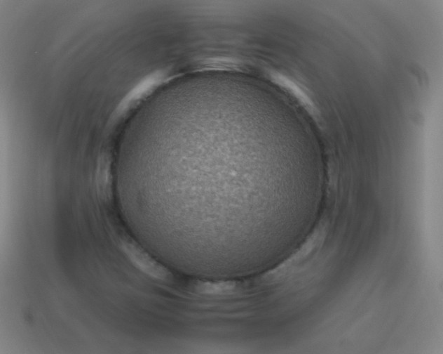 X0000113951403200910091558