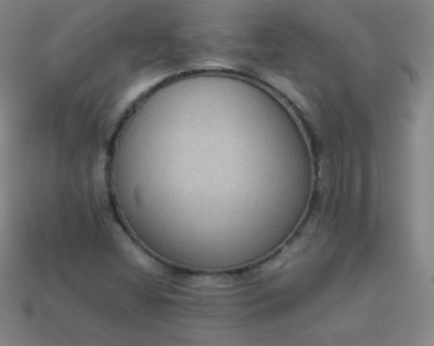 X0000113951404200910091558