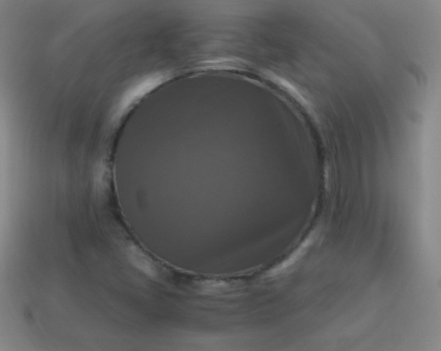 X0000113951405200910091558