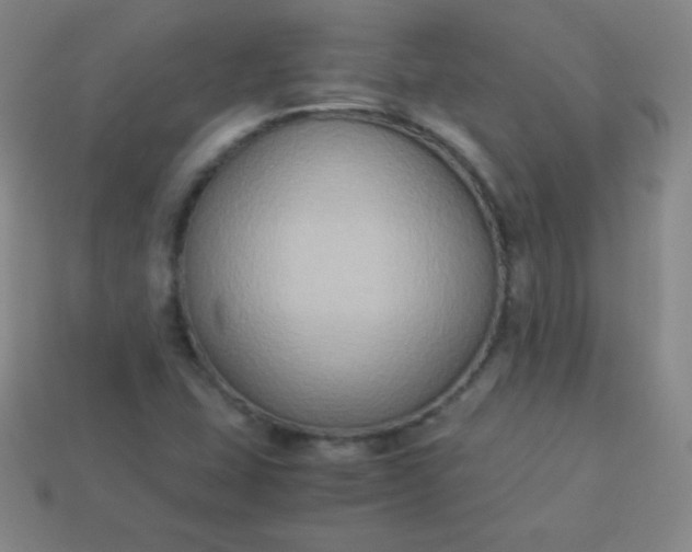 X0000113951407200910091558