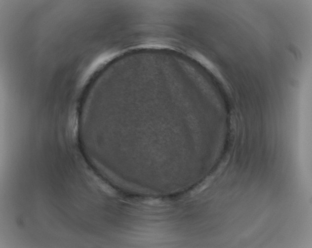 X0000113951408200910091558