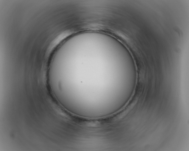 X0000113951410200910091558