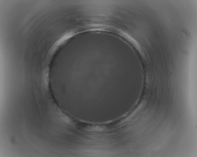 X0000113951411200910091558