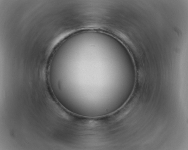 X0000113951412200910091558