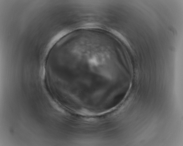 X0000113951413200910091558